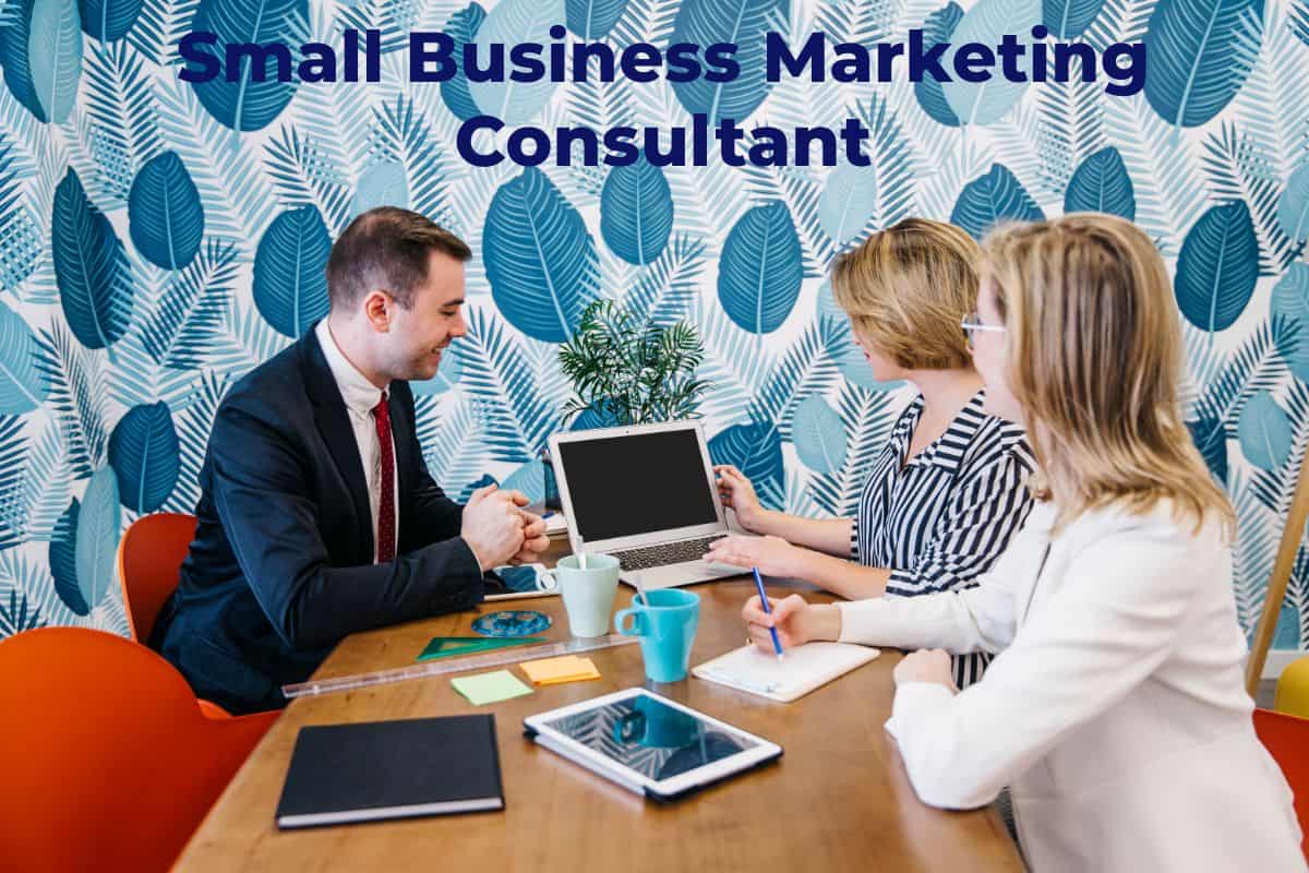 Small Business Marketing Consultant