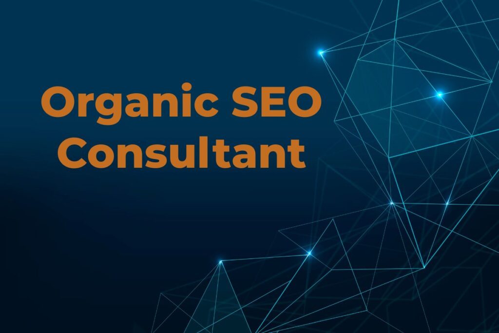 Organic SEO Consultant