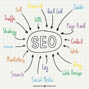 SEO progress timeline showing gradual growth in organic traffic and rankings