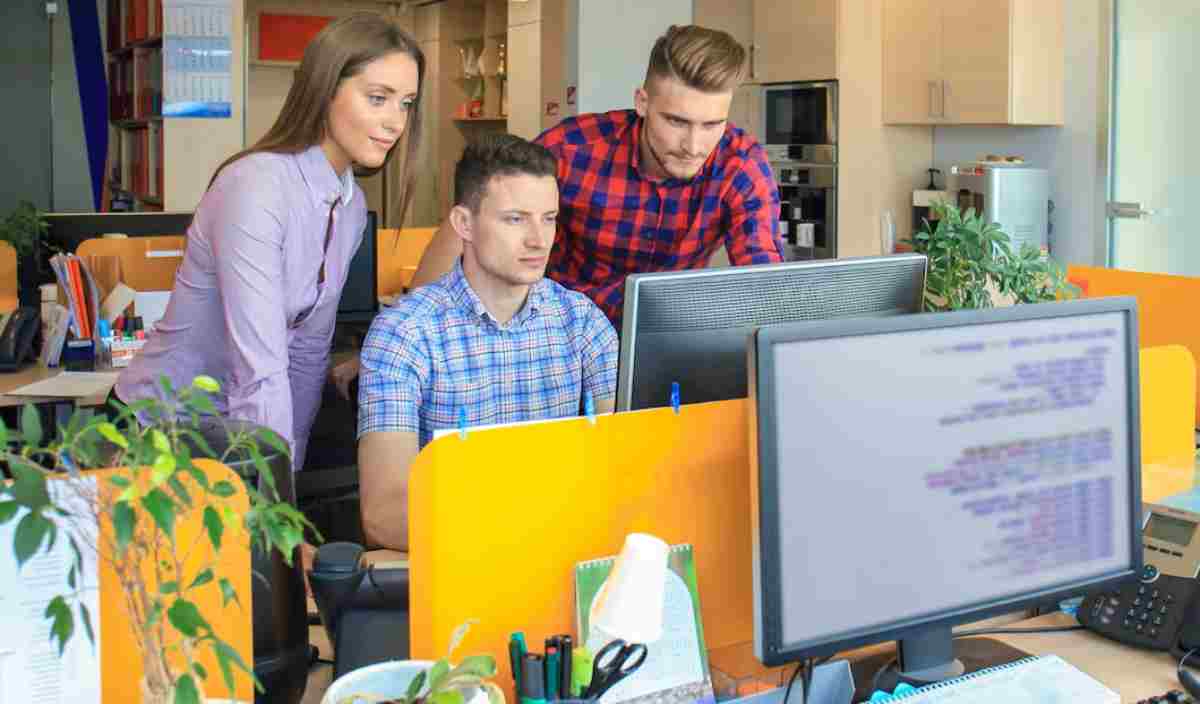 Steps and methods for building a custom web application.