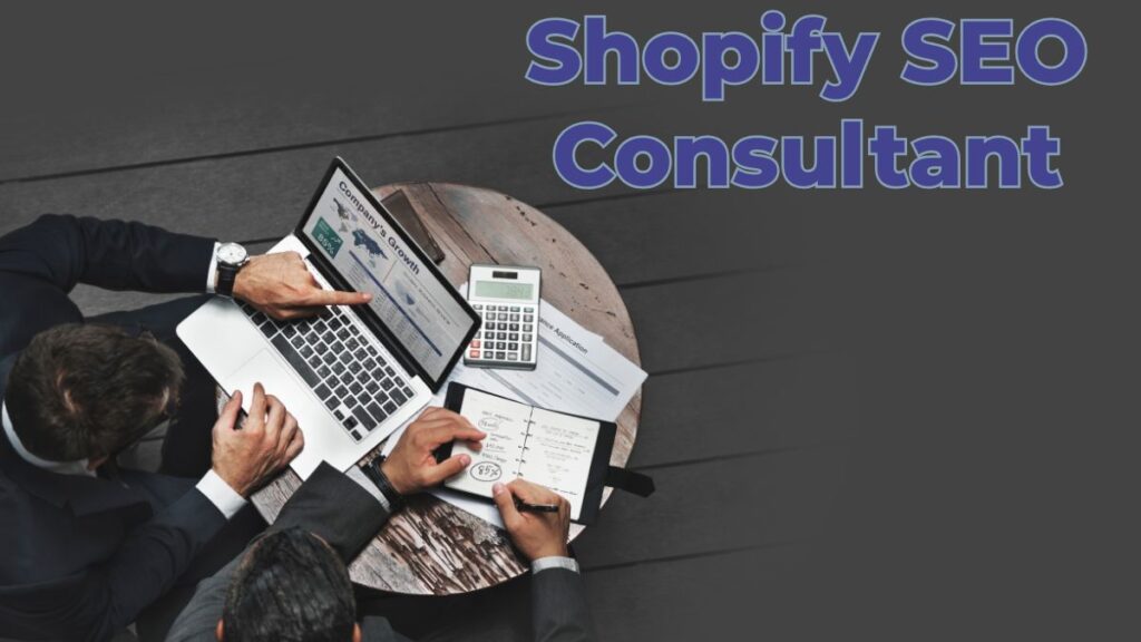 Shopify SEO Consultant
