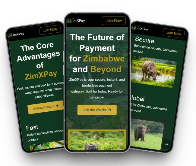 ZimXPay mobile mockup