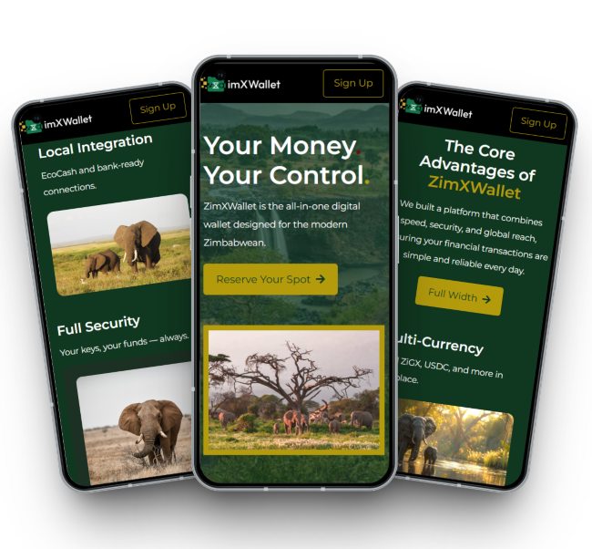 ZimXWallet mobile mockup